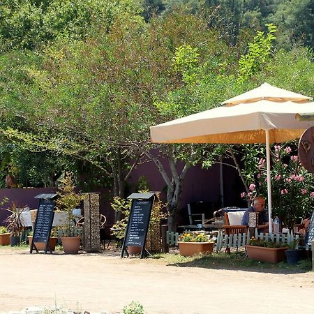 Defne Pension Çıralı Extérieur photo