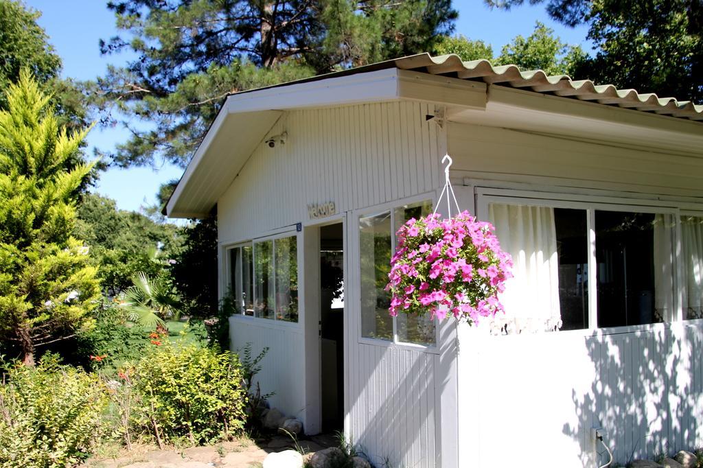 Defne Pension Çıralı Extérieur photo