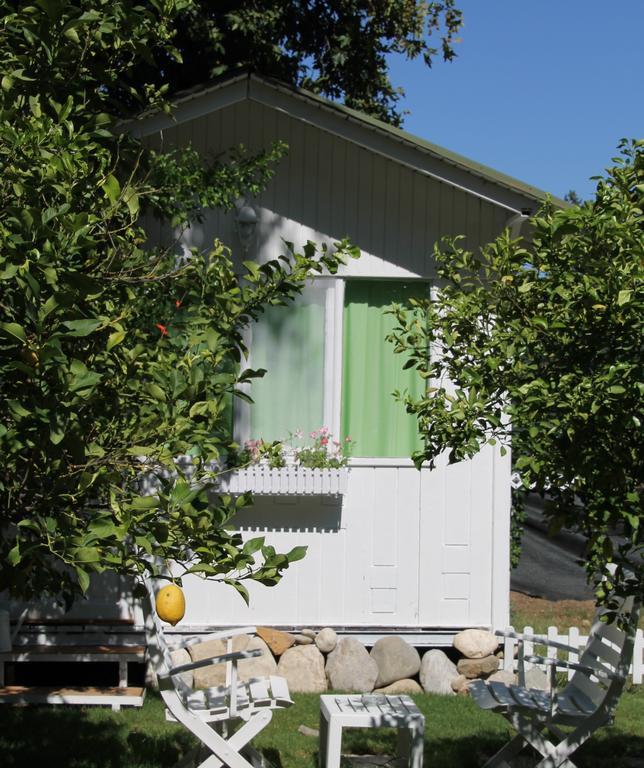 Defne Pension Çıralı Chambre photo