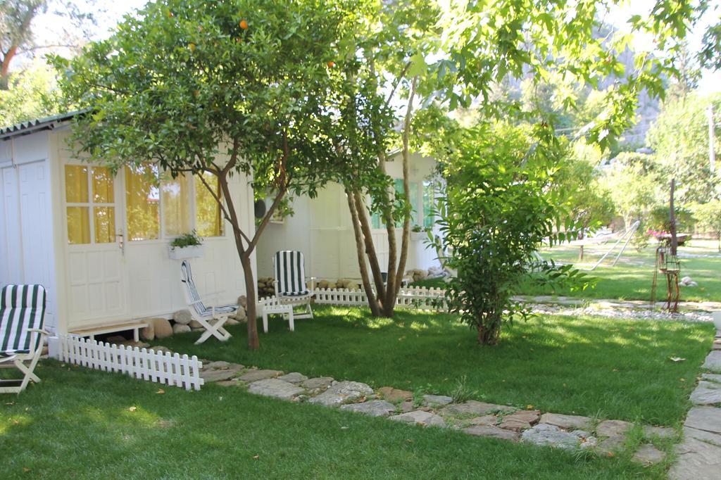 Defne Pension Çıralı Chambre photo