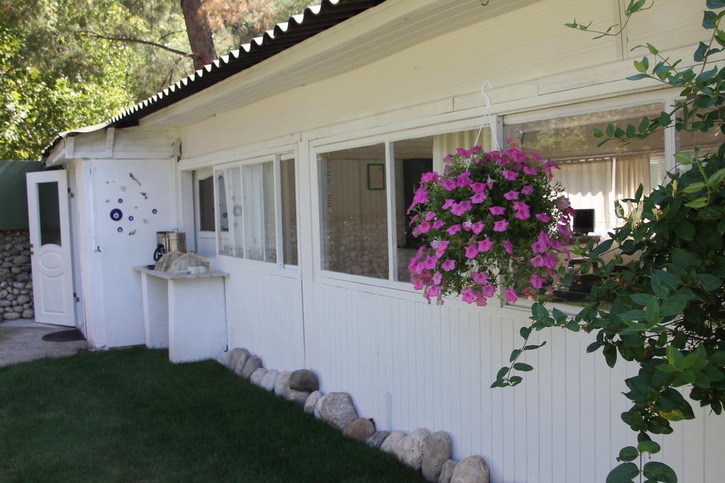 Defne Pension Çıralı Extérieur photo